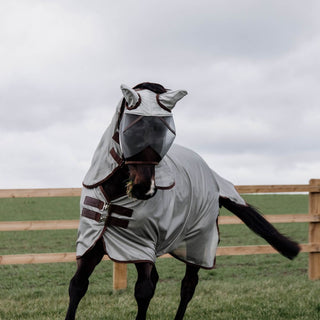 Mesh Fly Rug Classic With Neck