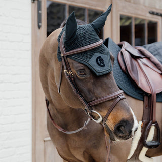 D Collection Plaited Flash Noseband Bridle