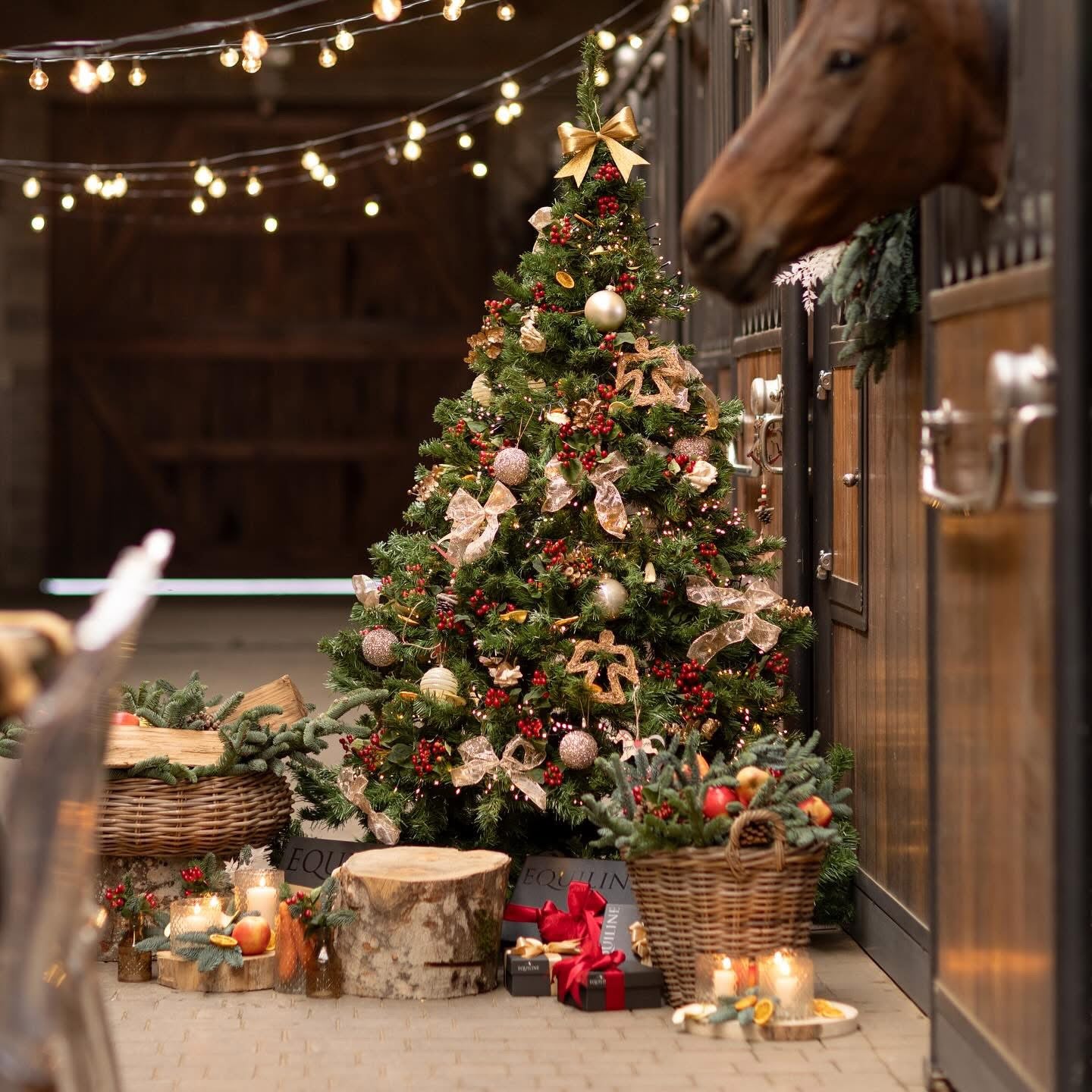 IMG_1166.jpg__PID:5d7de727-f5b8-4d52-b393-cf9c32b34923