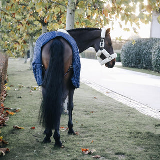 Stable Rug | Navy
