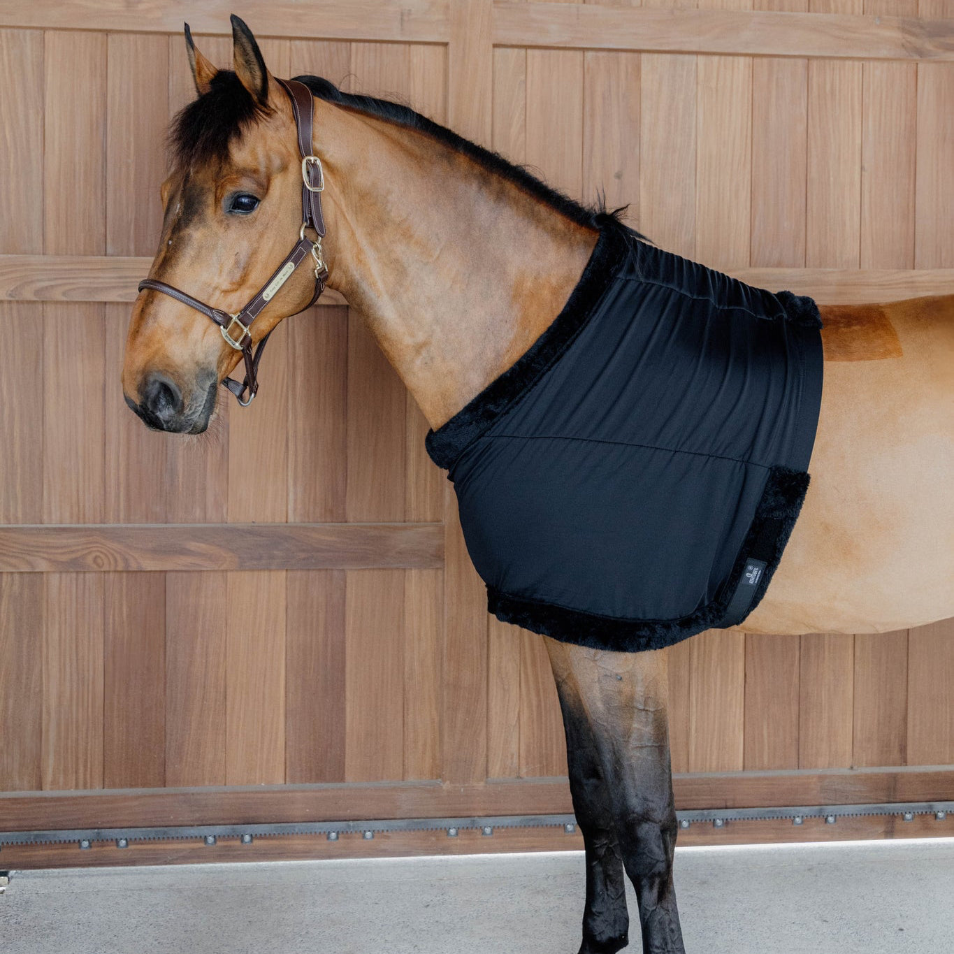 Chest Protection | Black