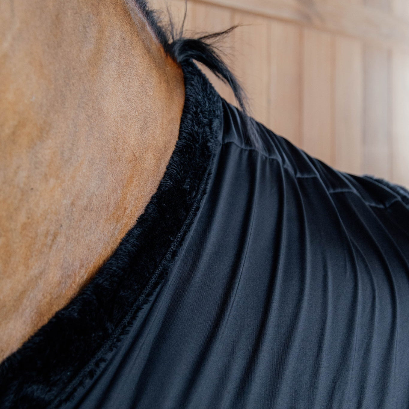 Chest Protection | Black