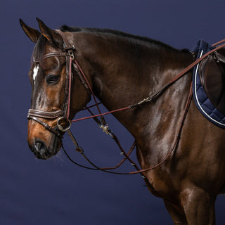 Working Collection Gogue Reins