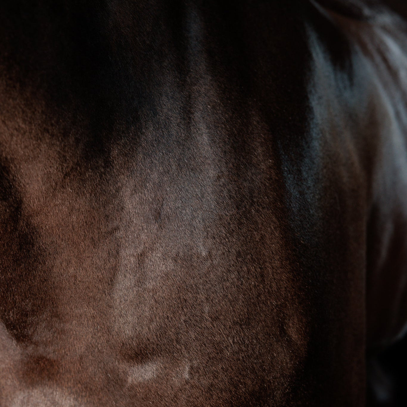 Super Shine Gloss Gel