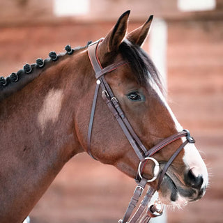 Chiberta Bridle Fine Headpiece