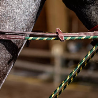 Draw Reins