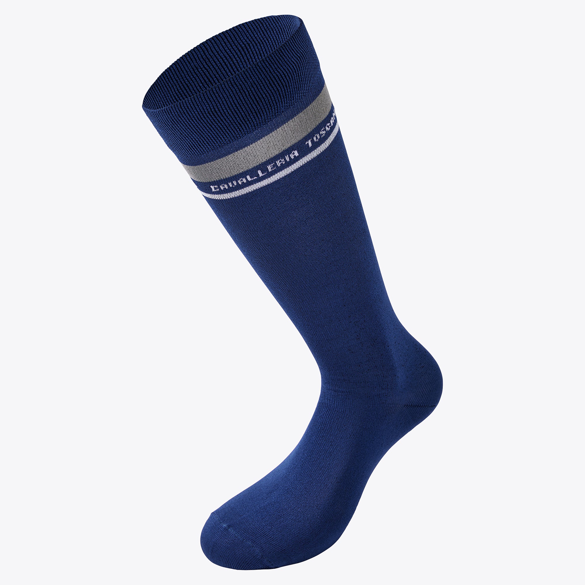 Embroidered CT Stripe Socks - Blue