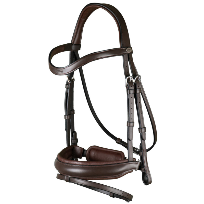 Working Matte Large Crank Noseband Bridle With Flash