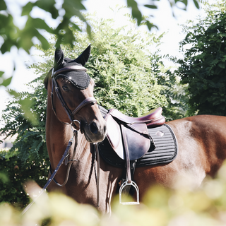 product shot image of the Long Stone & Pearl Fly Hood - Black