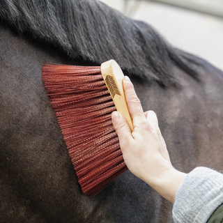 Middle Brush Long - Brown
