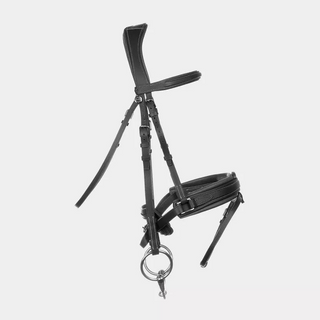 Biarritz Bridle