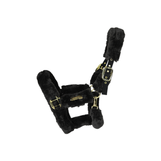 product shot image of the kentucky horsewear sheepskin headcollar black