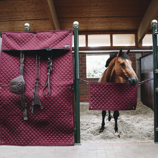 product shot image of the Stable Guard - Burgundy