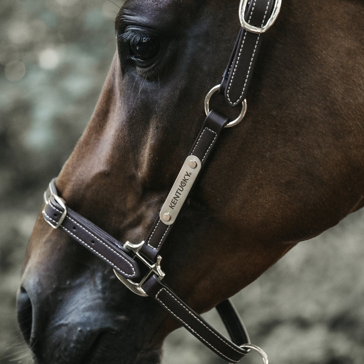 product shot image of the Leather Headcollar Flexible - Brown
