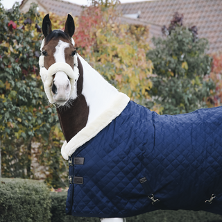 product shot image of the Show Rug - Navy