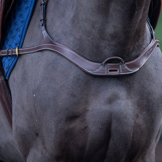product shot image of the D Collection Anatomical Breastplate