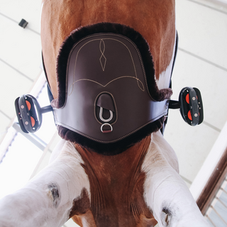 product shot image of the Sheepskin Stud Girth - Brown