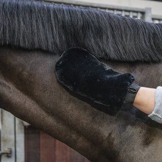 product shot image of the Grooming Deluxe Sheepskin Grooming Glove - Black