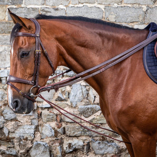 product shot image of the dy'on d collection leather nylon draw reins 16mm